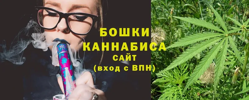 Бошки марихуана OG Kush  Пошехонье 